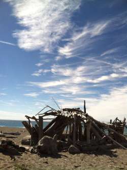 Wispy clouds with drift wood shelter